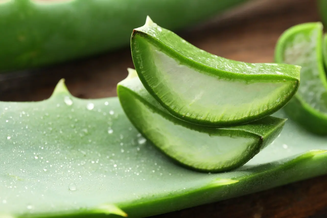 Fatias de babosa (aloe vera) recém-cortadas sobre uma folha da própria planta, com polpa transparente e gotas de água visíveis na superfície, em close-up sobre uma superfície de madeira.
