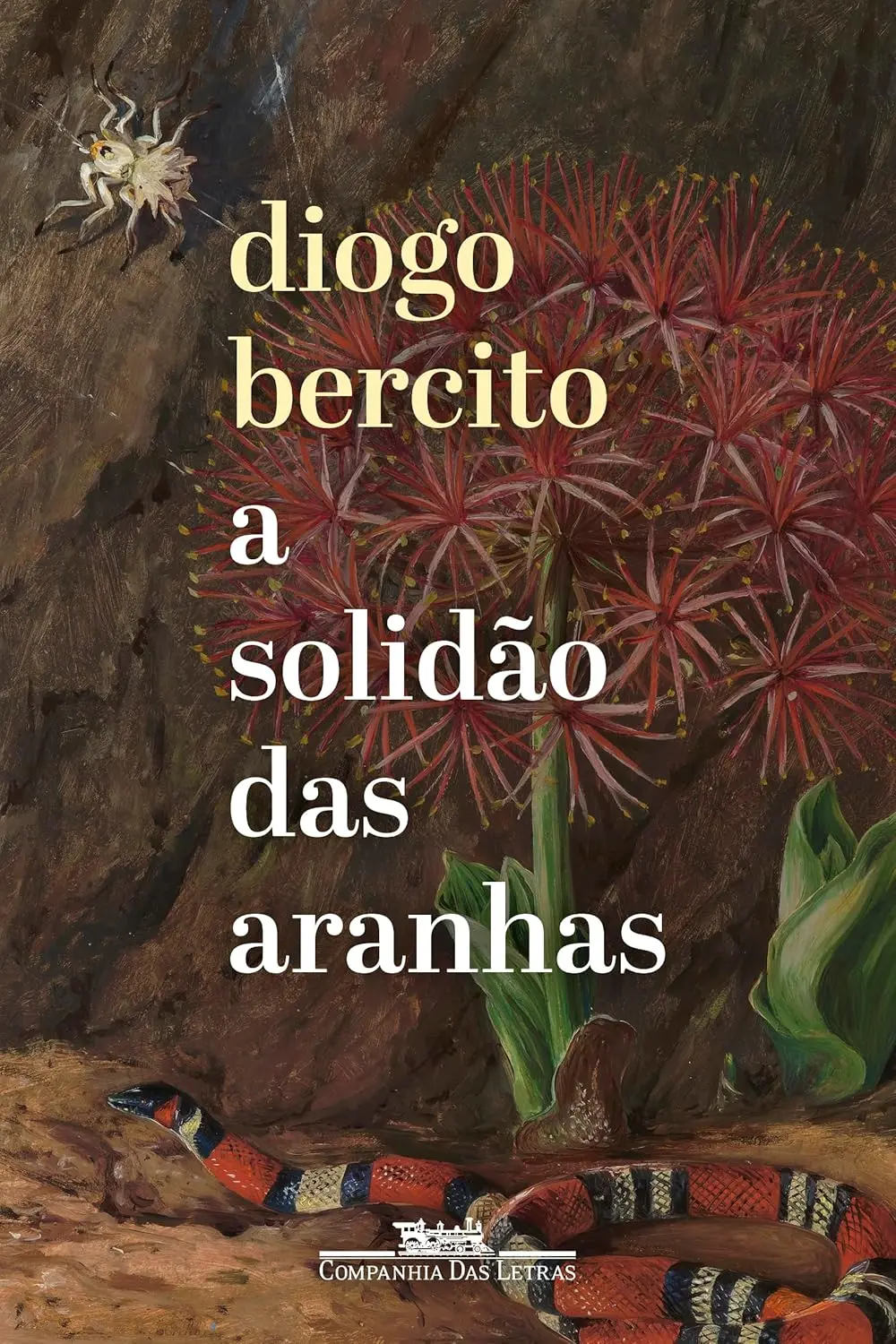Imagem de capa do livro A solidão das aranhas, de Diogo Bercito.