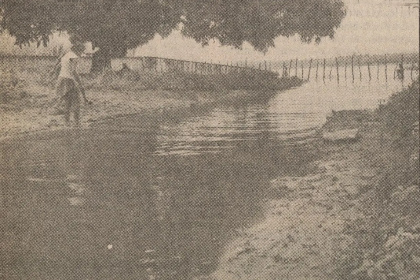 Foto antiga em tom sépia de uma menina caminhando dentro de um alagamento provocado pela cheia no açude Jangurussu. Ao fundo, há um muro, uma grande árvore e estacas de madeira no chão.