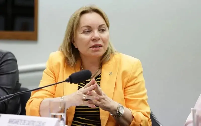 Deputada federal Gorete Pereira (MDB)