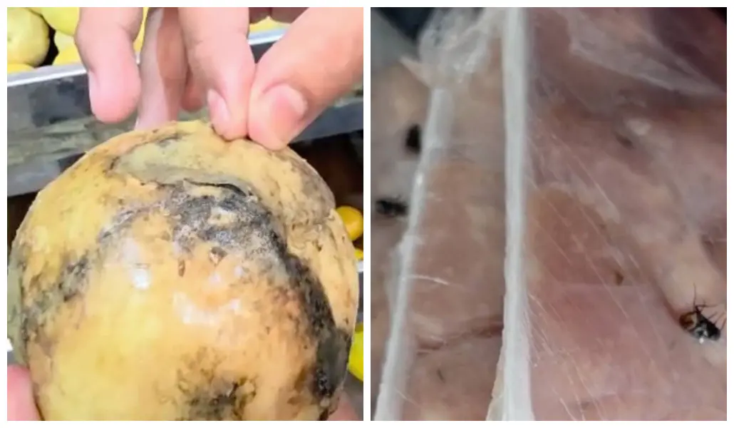 Frutas estragadas e insetos.