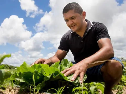 Imagem da notícia: Cearenses transformaram quintais em negócios lucrativos na Serra da Ibiapaba