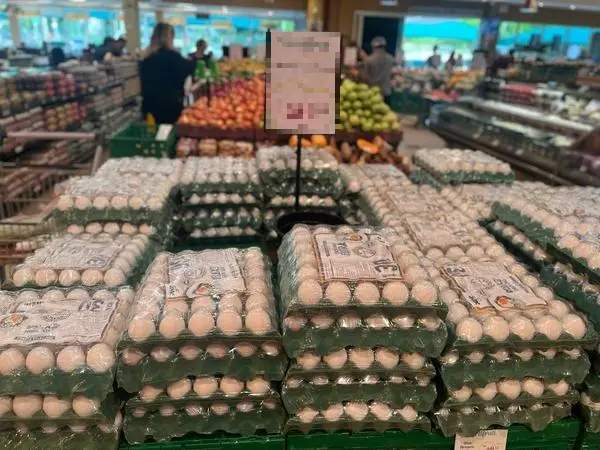 Gôndola de supermercado com centenas de bandejas de ovos brancos empilhadas.