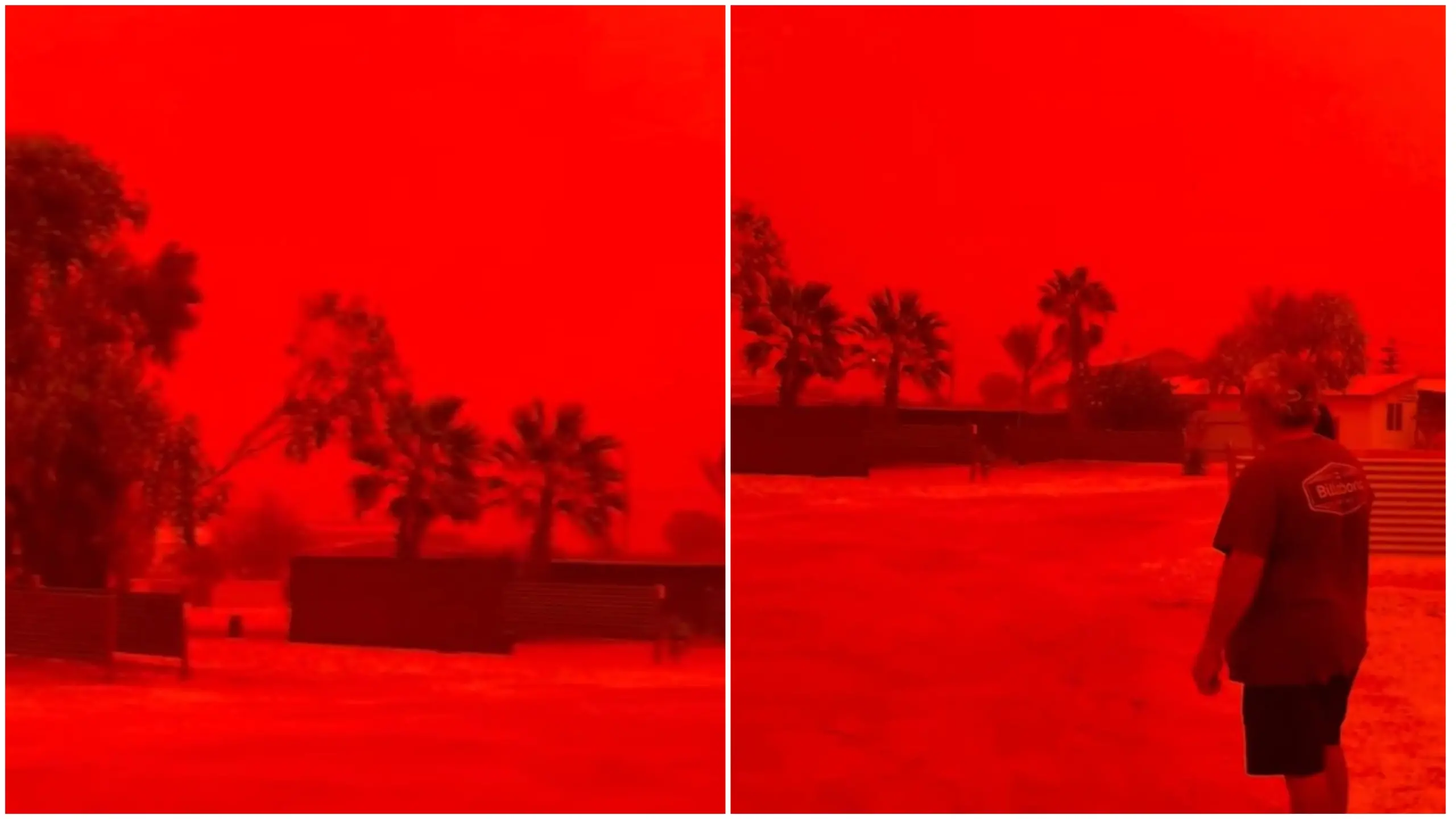 Um céu intensamente avermelhado encobre uma paisagem com palmeiras e silhuetas de casas, criando uma atmosfera densa e surreal. No lado direito, um homem observa o cenário dominado pela tonalidade escarlate provocada pela fumaça de incêndios florestais.