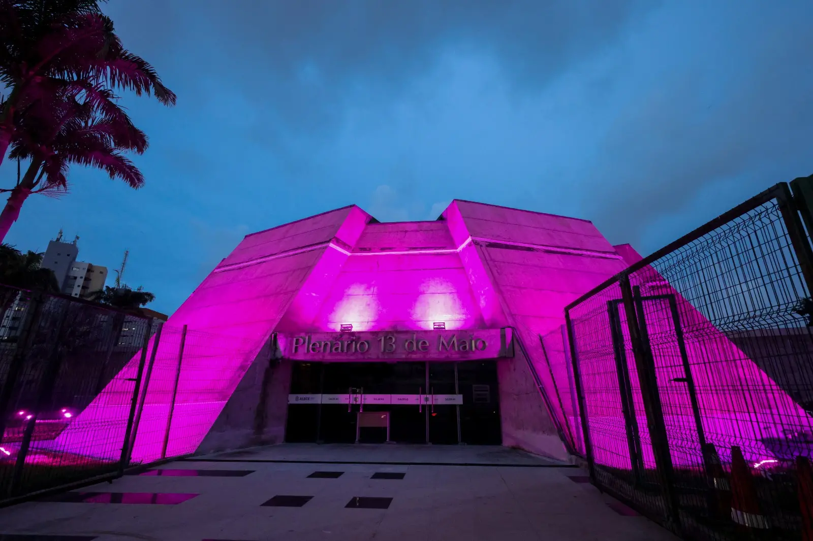 Foto da Alece com iluminação especial rosa.