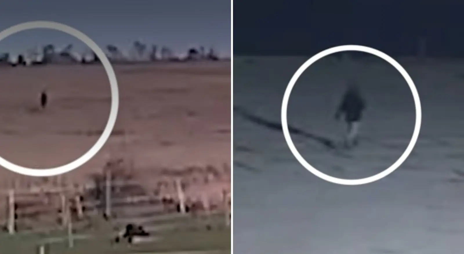 Imagens de câmeras de segurança mostram Vitória caminhando em Brightlingsea.