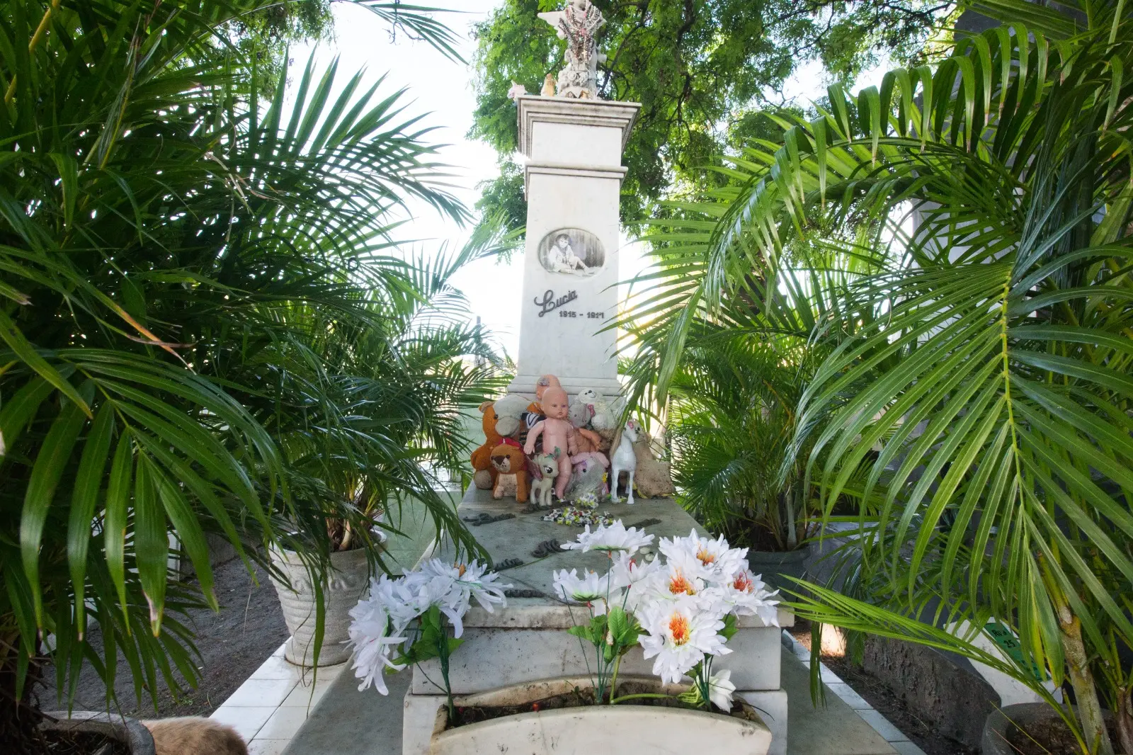 Imagem mostra sepultura de Menina Lúcia, santa popular, localizada no Cemitério São João Batista, no Centro de Fortaleza.