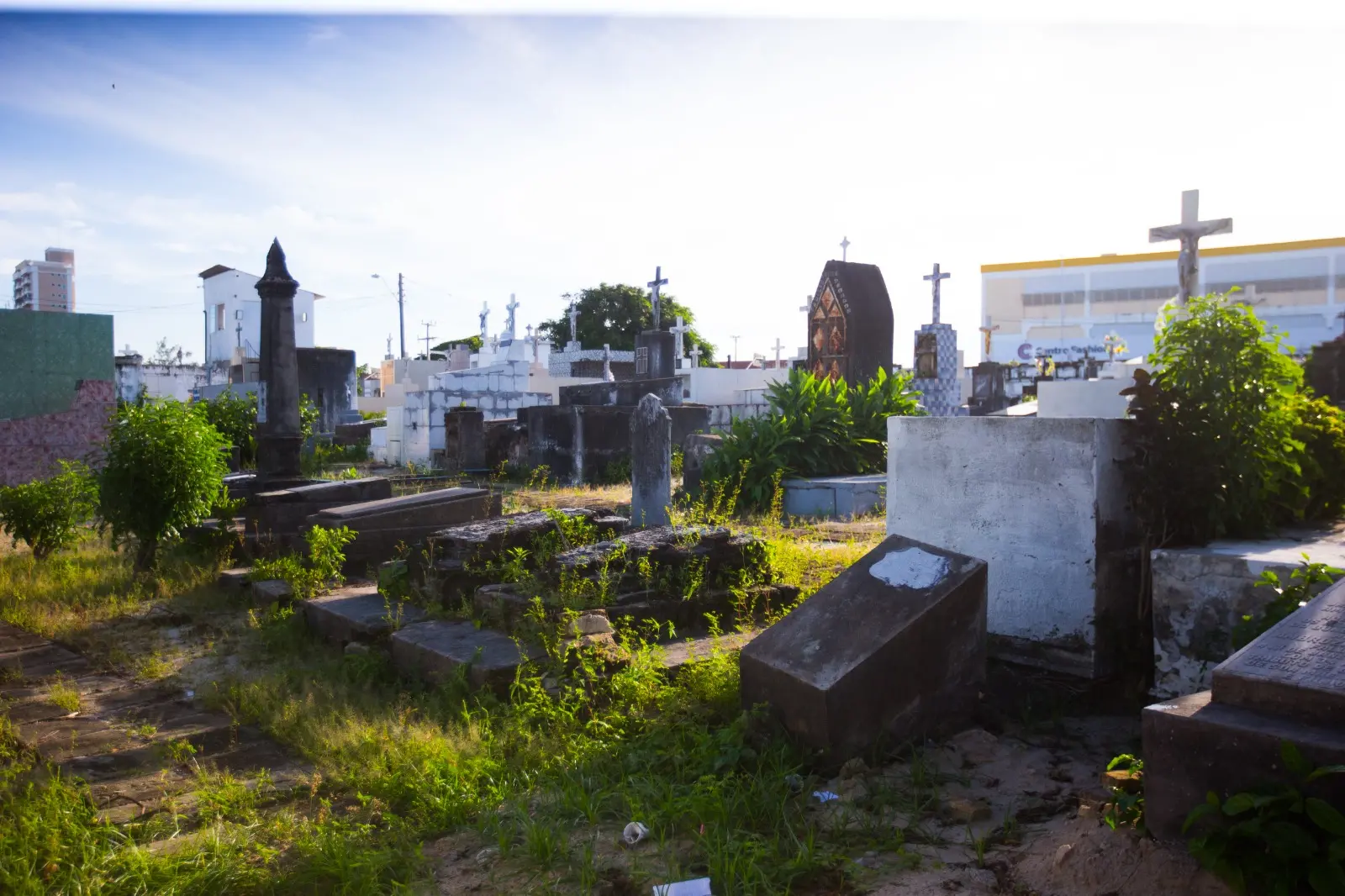 Imagem mostra sepulturas de judeus localizadas no Cemitério São João Batista, no Centro de Fortaleza.