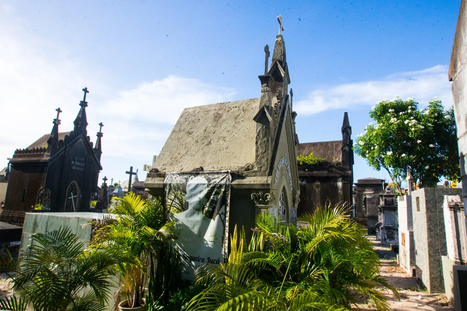 Imagem mostra sepultura do estudante João Nogueira Jucá, localizada no Cemitério São João Batista, no Centro de Fortaleza.