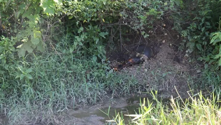 cadaver matagal fortaleza.