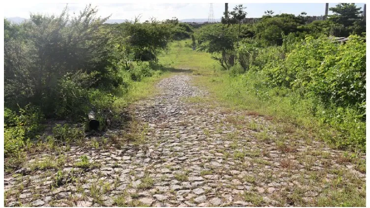 Criminosos passaram por uma estrada cercada por mata para tentar esconder o corpo do entregador.