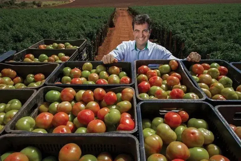 Foto que contém Edson Trebeschi e tomates verdes e vermelhos.