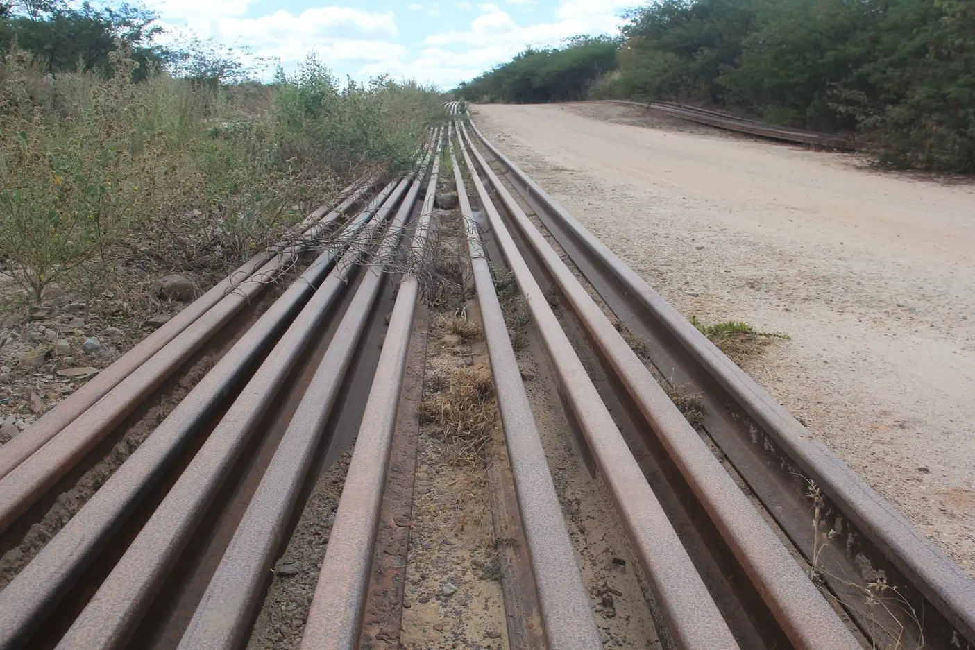 Foto que contém trilhos com vegetação crescendo por cima.