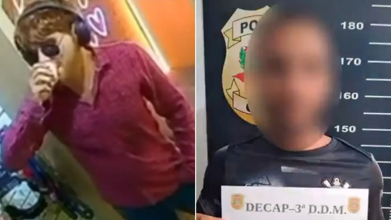 Montagem de fotos de suspeito que usou disfarce para furtar cachorro de ex-namorada.