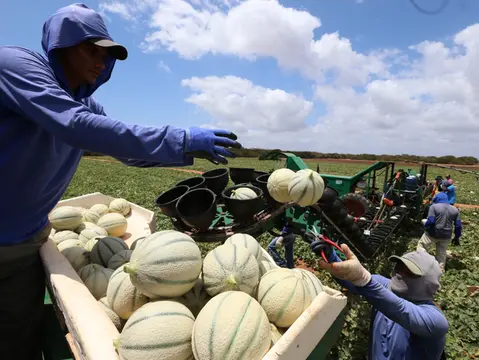 Imagem da notícia: Acordo Mercosul-UE deve dobrar as exportações do agronegócio do Ceará, afirma Faec