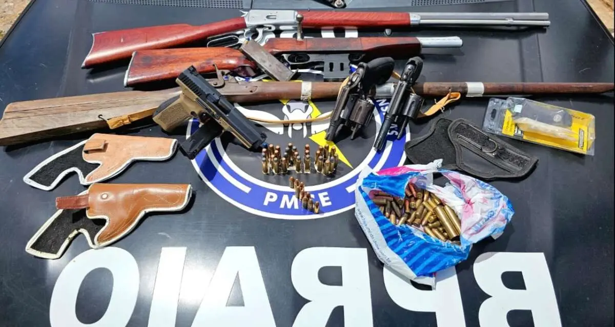 Armas apreendidas.