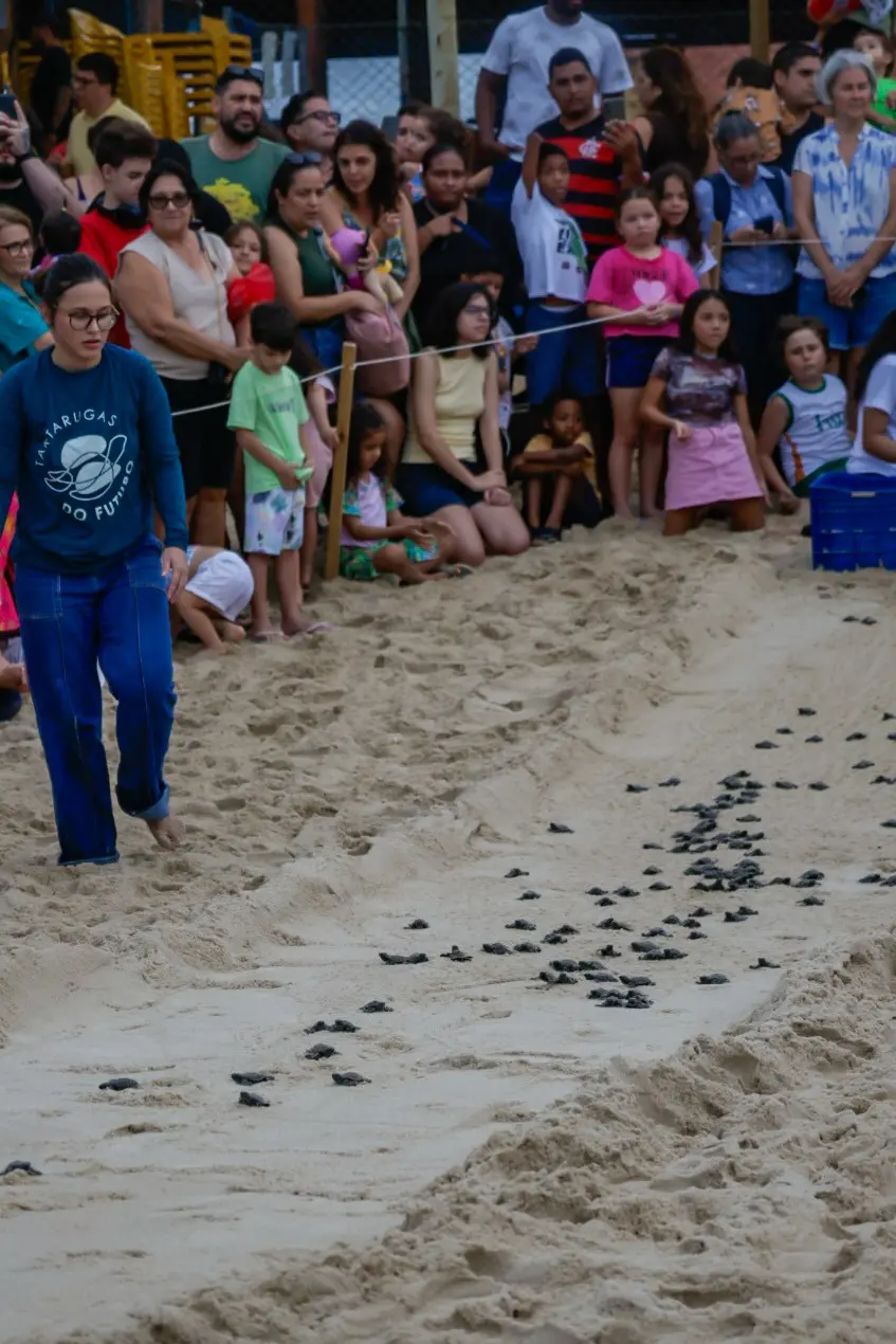 Uma multidão de adultos e crianças observa, atrás de uma corda de isolamento, dezenas de tartarugas marinhas recém-nascidas caminhando pela areia em direção ao mar sob a supervisão de uma monitora.