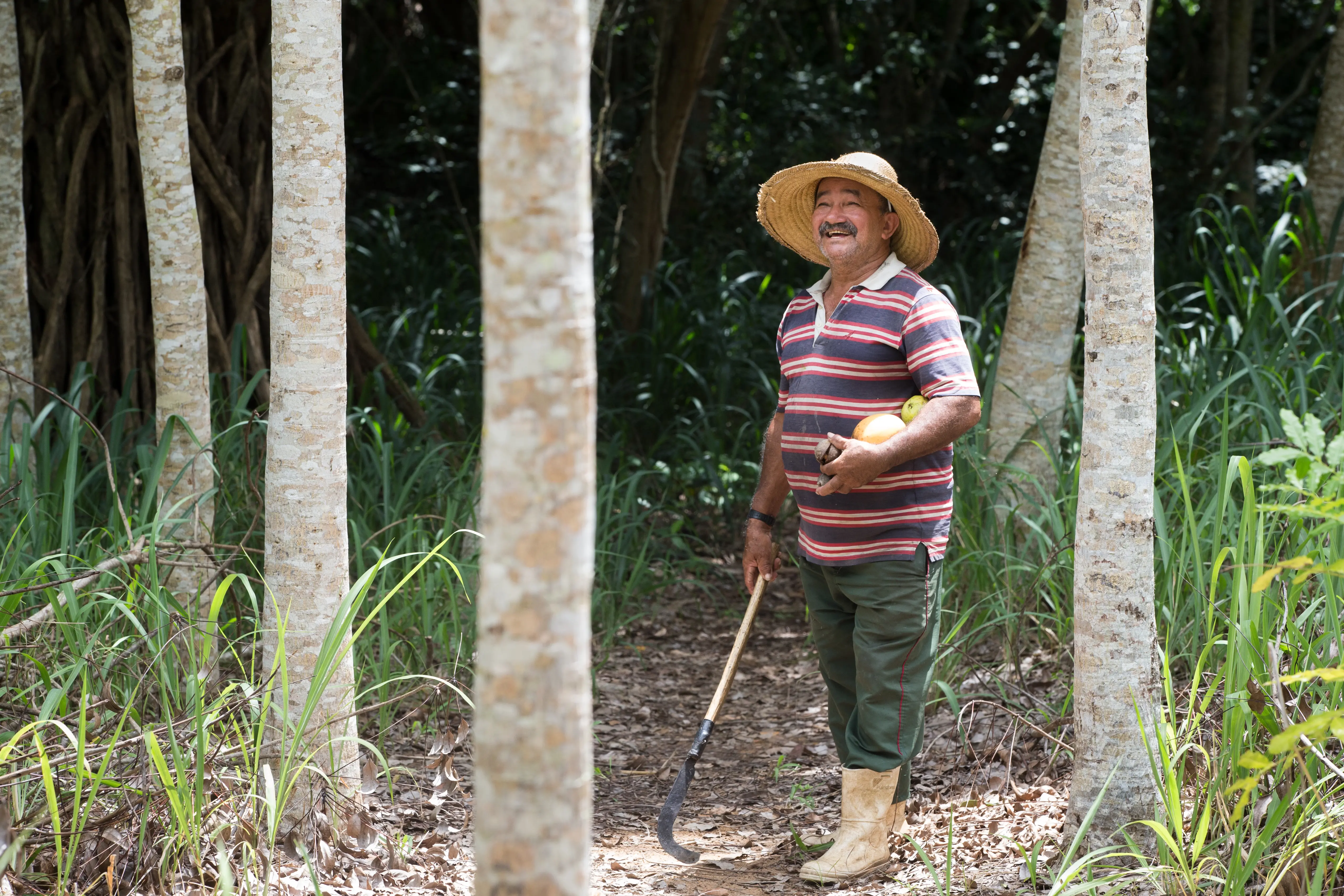 Seu Francisco, homem com chapéu de palha e botas segura ferramenta agrícola e frutas em trilha cercada por árvores altas e vegetação densa. Ele sorri em área florestal iluminada pela luz do dia.