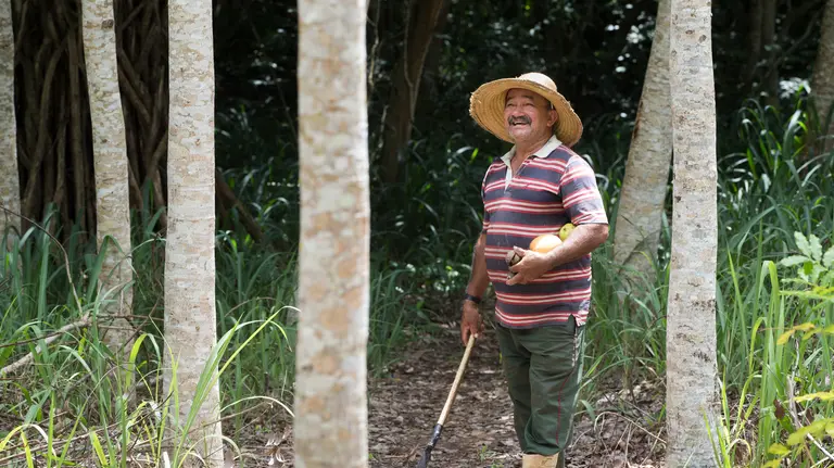 Seu Francisco, homem com chapéu de palha e botas segura ferramenta agrícola e frutas em trilha cercada por árvores altas e vegetação densa. Ele sorri em área florestal iluminada pela luz do dia.
