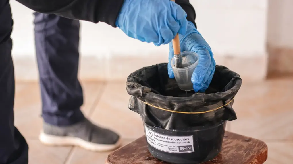 Imagem em close up de mãos com luvas azuis segurando um pote com larvicida e pincel. O material será aplicado em um pote coberto com plástico preto preso por um elástico, com etiqueta indicando ser uma estação disseminadora de larvicida.