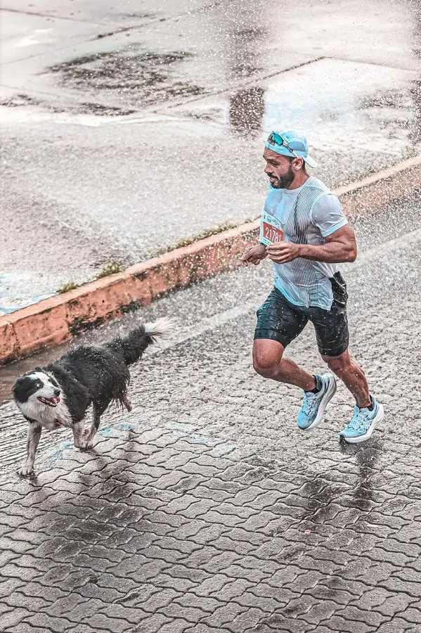 cachorra e corredor