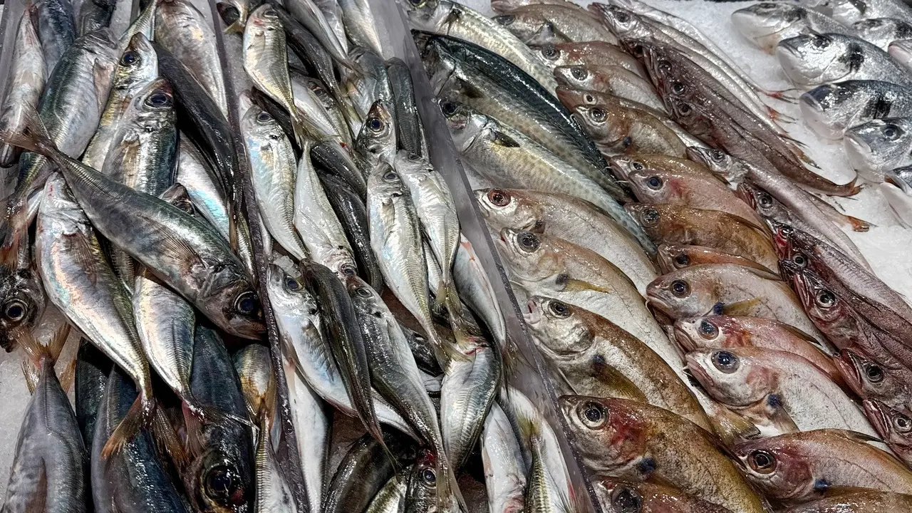 Vários peixes frescos com escamas prateadas e brilhantes estão organizados em fileiras sobre uma camada de gelo em uma vitrine de mercado. A composição destaca a textura das peles e o frescor do produto, divididos por uma divisória transparente que organiza as diferentes espécies.