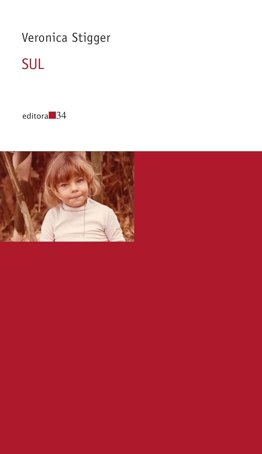 Imagem de capa do livro Sul, de Veronica Stigger, para matéria sobre o Dia da Literatura Brasileira.