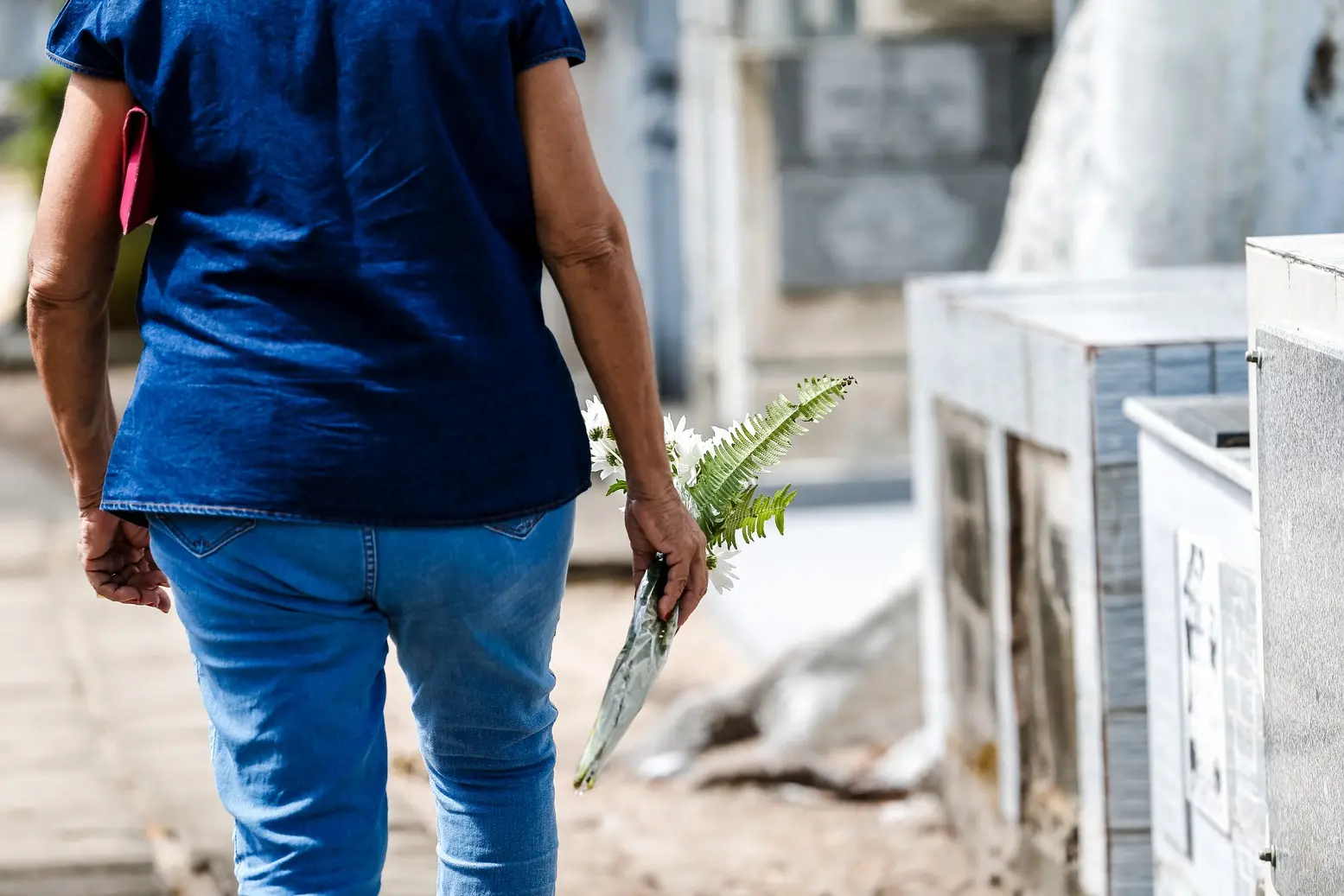 Close-up das costas de uma pessoa com blusa azul e calça jeans caminhando por um corredor de cemitério. Ela carrega um pequeno buquê de flores brancas com folhagens verdes em uma das mãos.