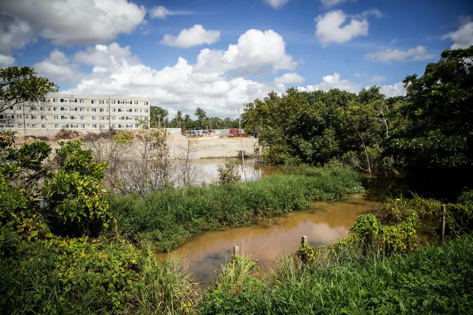 Vista de um terreno baldio com uma grande poça de água barrenta e vegetação densa ao redor. Ao fundo, observa-se um conjunto habitacional sob um céu ensolarado com nuvens, evidenciando o risco de proliferação de doenças em áreas urbanas.
