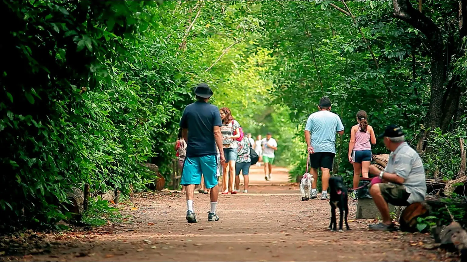 Frequentadores caminham pelo Parque do Cocó.