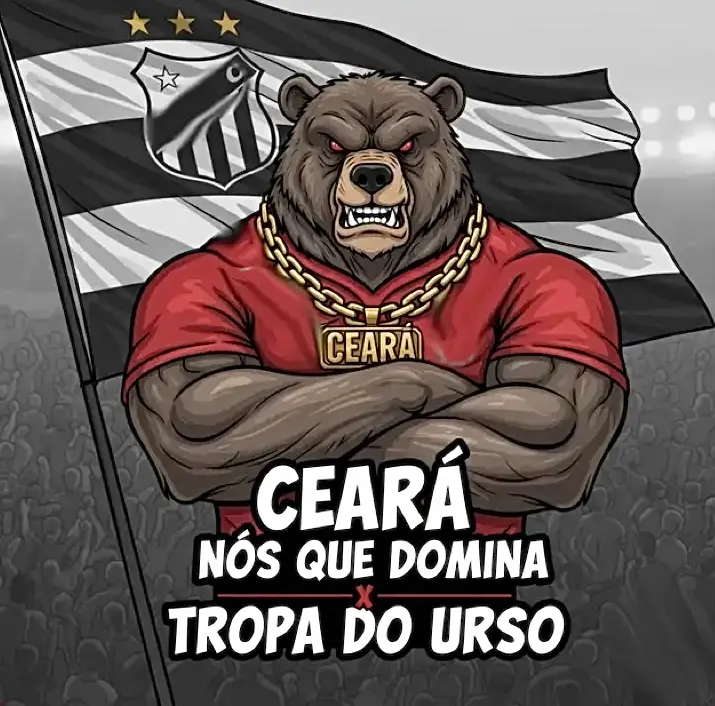 imagem capa de musica urso