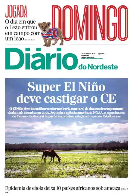 Preview do PDF