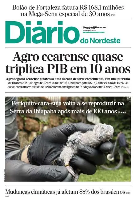 Preview do PDF