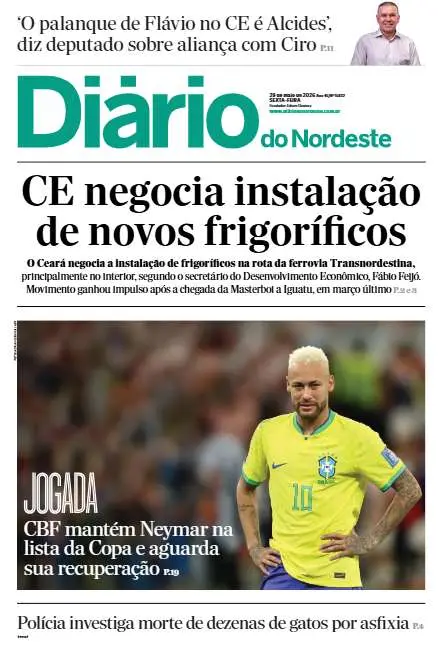 Preview do PDF