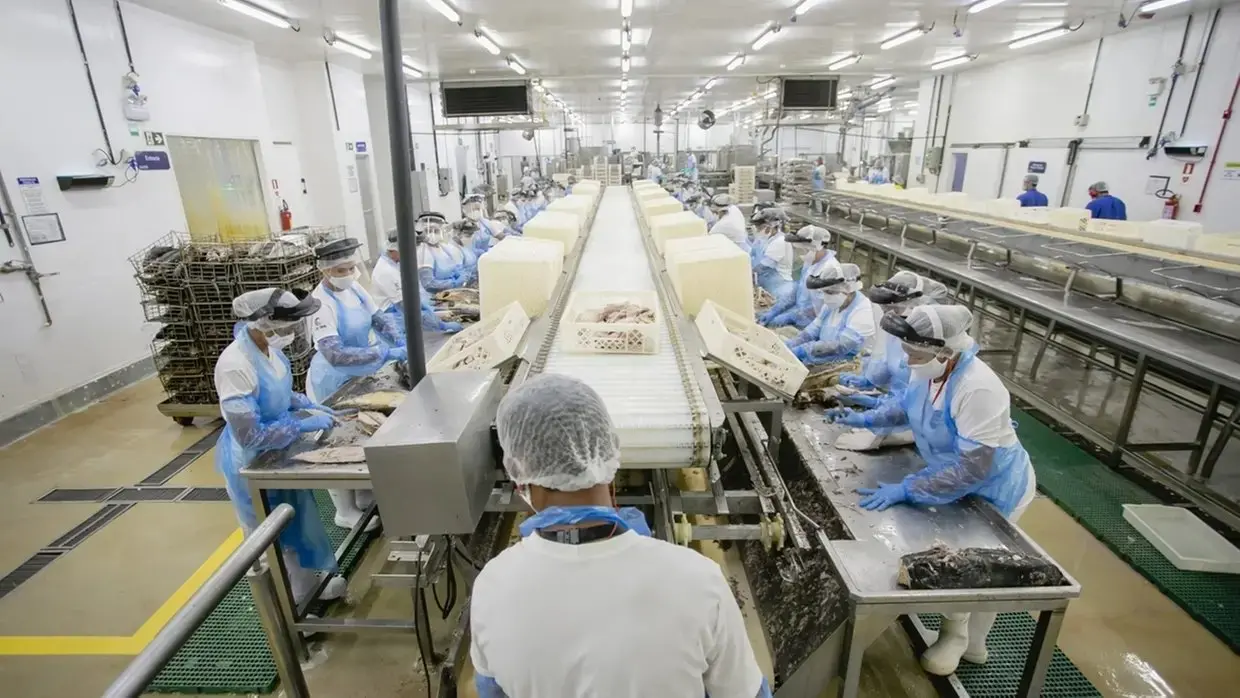 Imagem da notícia União Europeia fiscalizará pescado brasileiro, inclusive o do Ceará 
