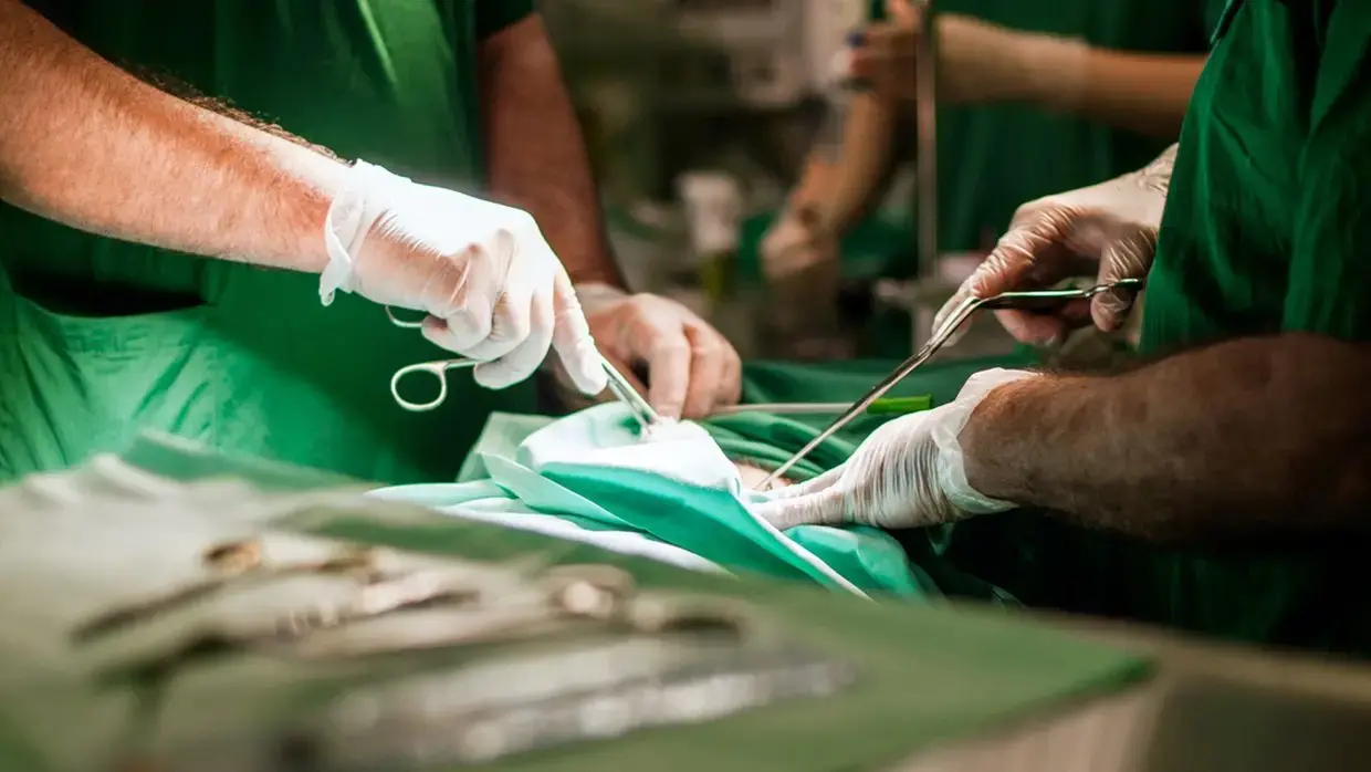 Imagem da notícia Cirurgião cearense examina o intestino da crise brasileira  