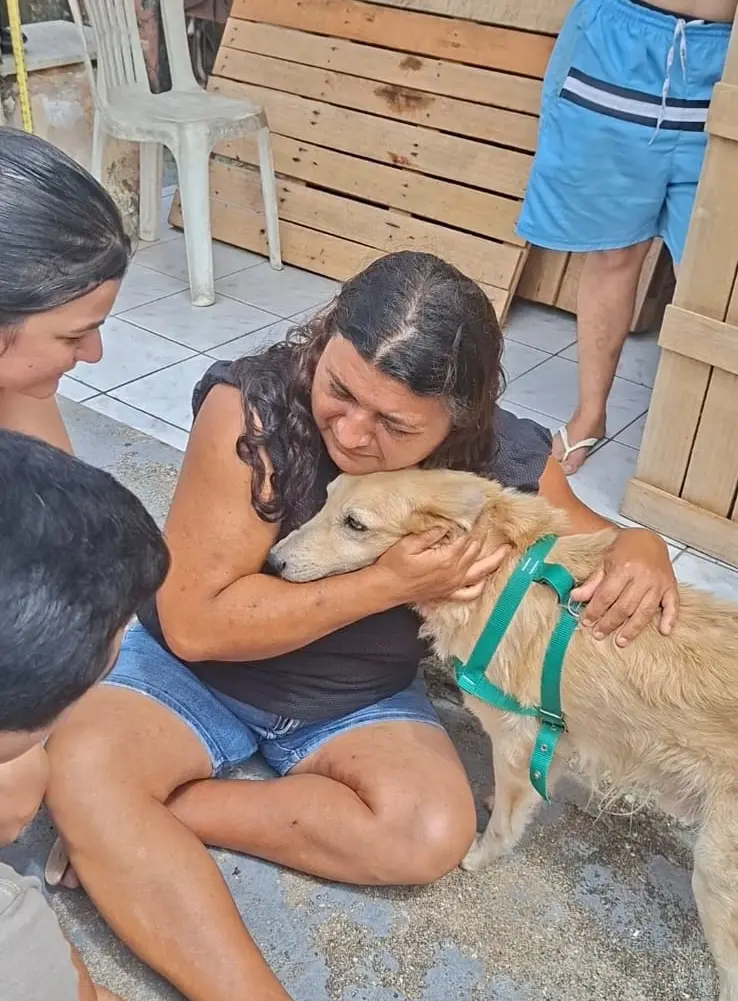 Imagem do cachorro que reencontrou a família após ficar desaparecido por quase três meses.