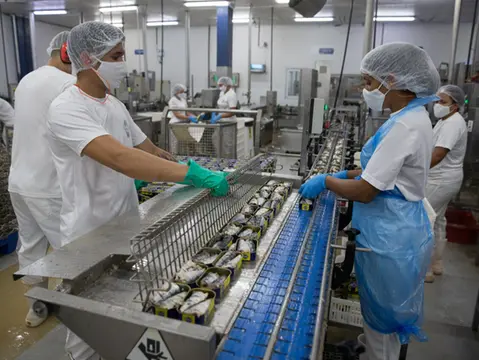 Imagem da notícia: Robinson Crusoe planeja investir R$ 35 milhões para logística de pescados no Ceará até 2028