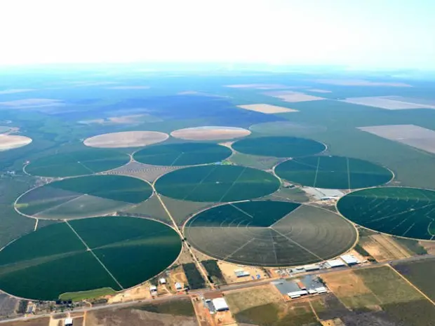 Imagem da notícia No agro da Bahia e do Ceará, problema é um só: a energia 