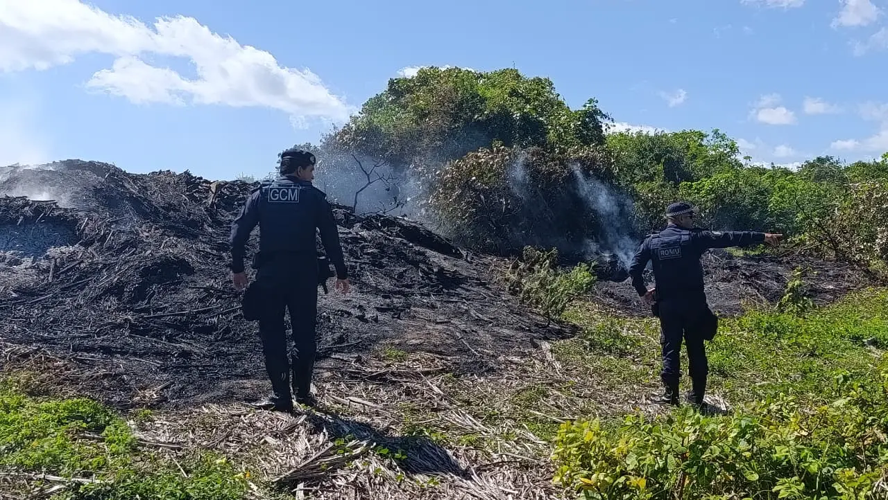 Guarda Municipal esteve na área atingida pelo fogo na manhã desta sexta-feira (19).
