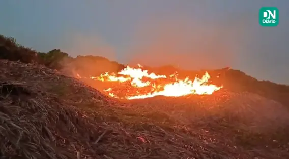 Imagem da notícia VÍDEO: Fogo atinge Dunas de Paracuru e fumaça alcança hotéis e pousadas