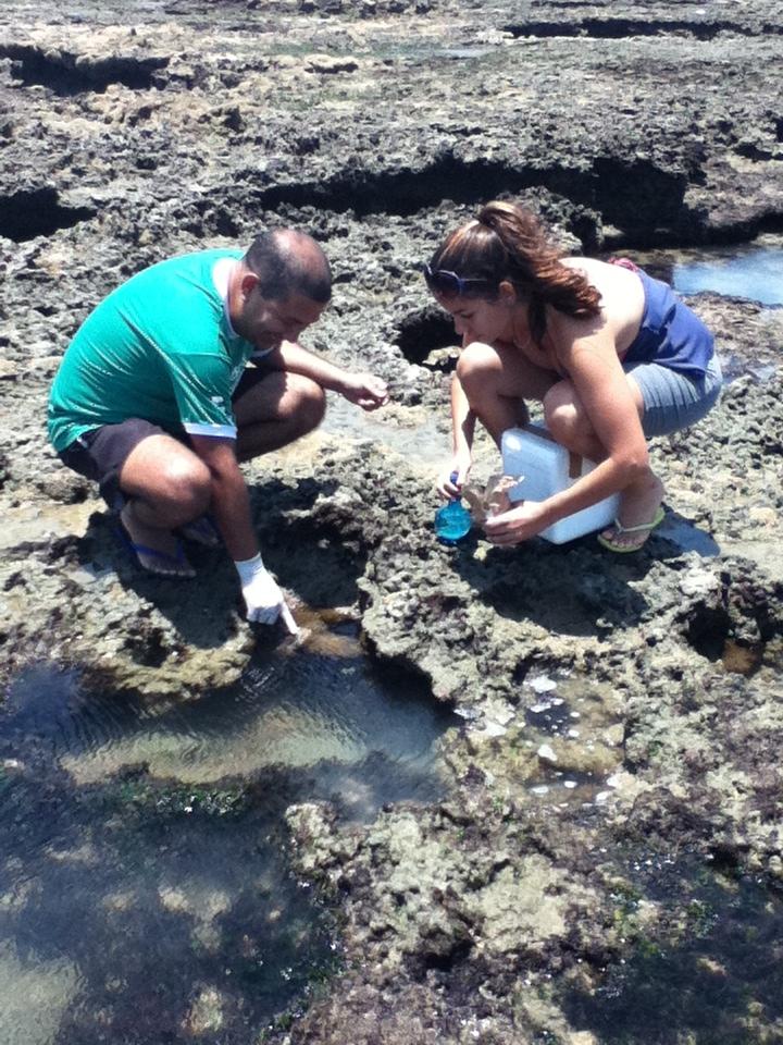 Imagem mostra pesquisadores da UFC colhendo bactérias em animais marinhos invertebrados no litoral do Ceará. Essas bactérias são capazes de produzir substância com potencial para tratar o câncer.