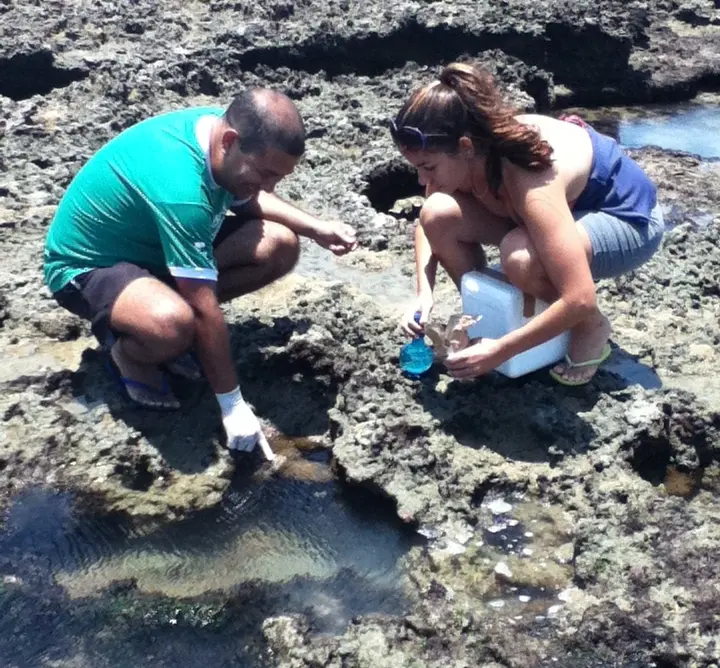 Imagem mostra pesquisadores da UFC colhendo bactérias em animais marinhos invertebrados no litoral do Ceará. Essas bactérias são capazes de produzir substância com potencial para tratar o câncer.