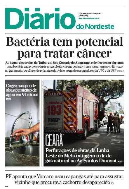Preview do PDF