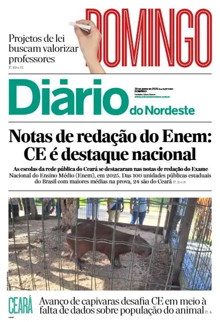 Preview do PDF