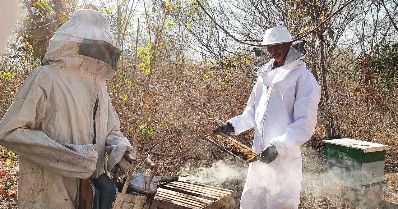 Como a agroecologia virou o futuro da agro do Ceará e mudou a vida de produtores rurais