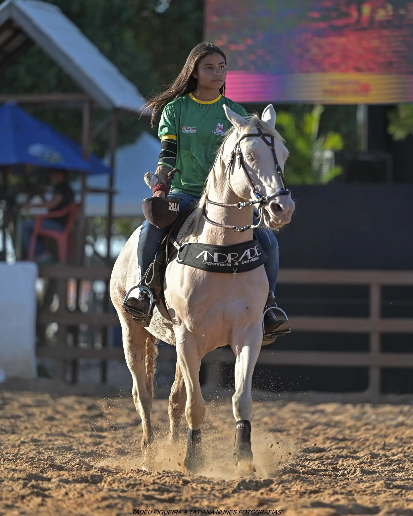 Imagem da notícia Caminhão com cavalos e praticante de vaquejada tomba na BR-222, em Tianguá