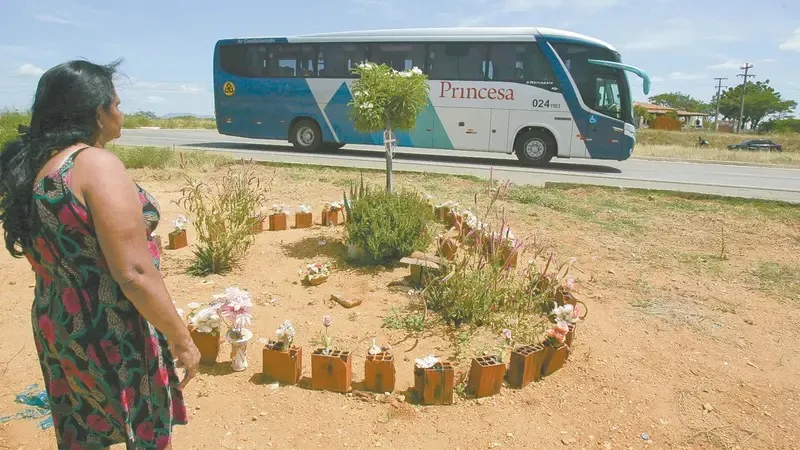 Familiares das vítimas do acidente em 2014 plantaram mudas de árvore no local.