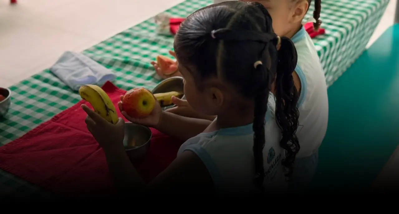Imagem da notícia Lei que proíbe ultraprocessados em escolas do CE reforça hábitos saudáveis além dos muros