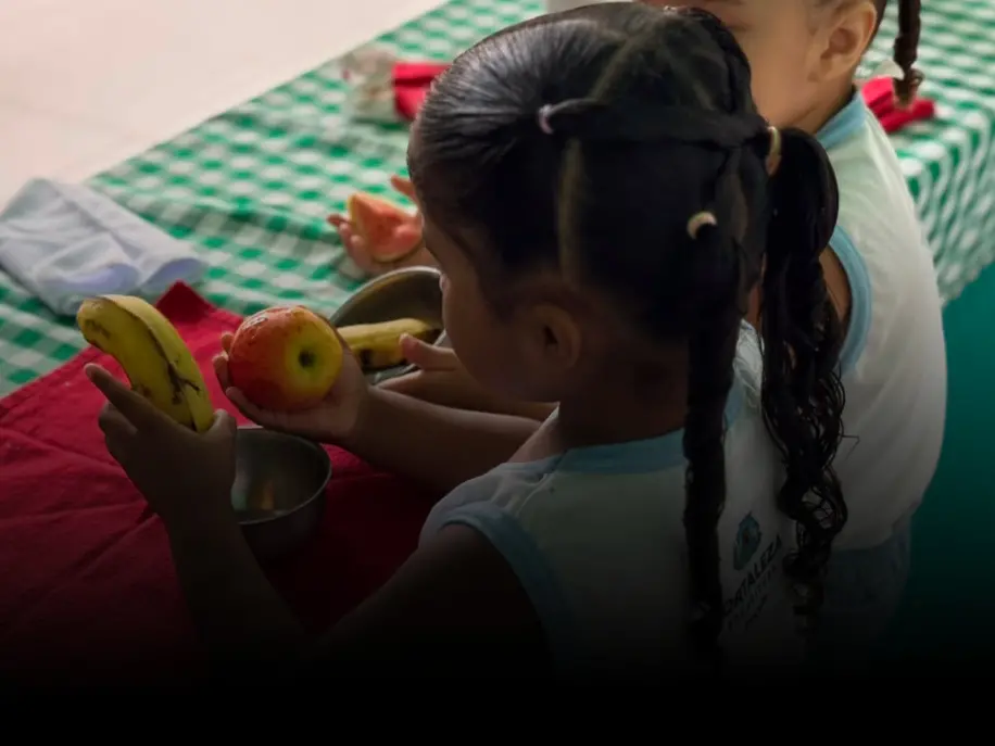 Imagem da notícia Lei que proíbe ultraprocessados em escolas do CE reforça hábitos saudáveis além dos muros